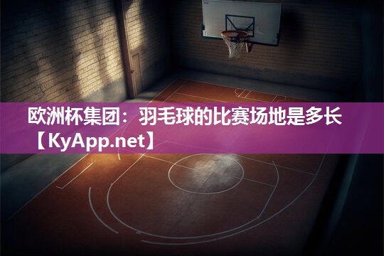 羽毛球的比赛场地是多长