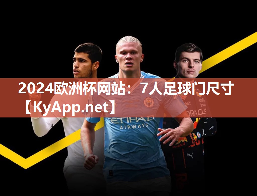 7人足球门尺寸