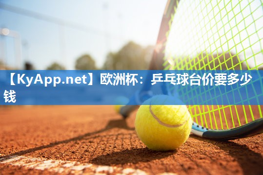 乒乓球台价要多少钱
