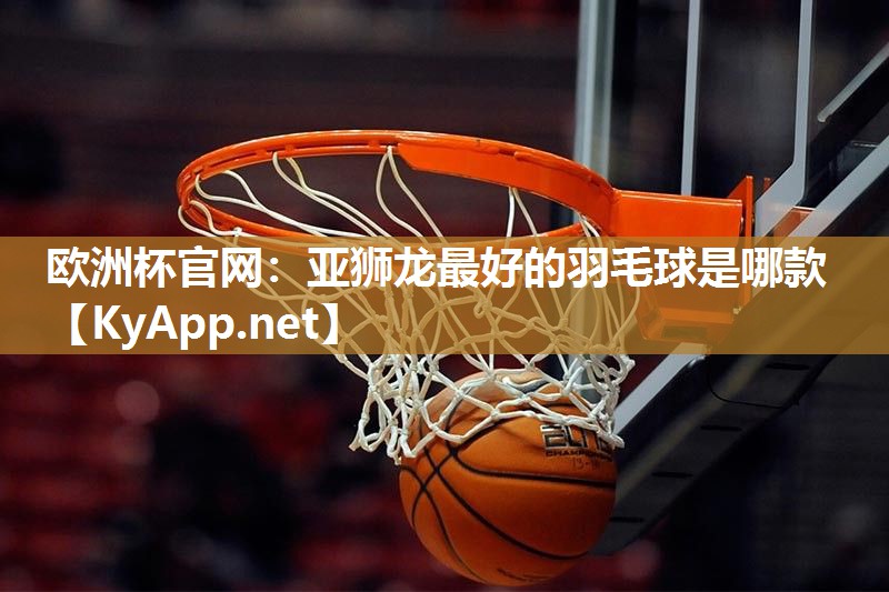 亚狮龙最好的羽毛球是哪款
