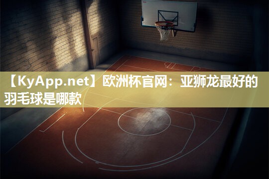 亚狮龙最好的羽毛球是哪款