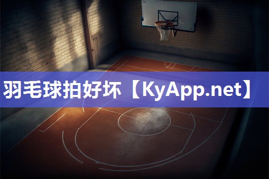 羽毛球拍好坏