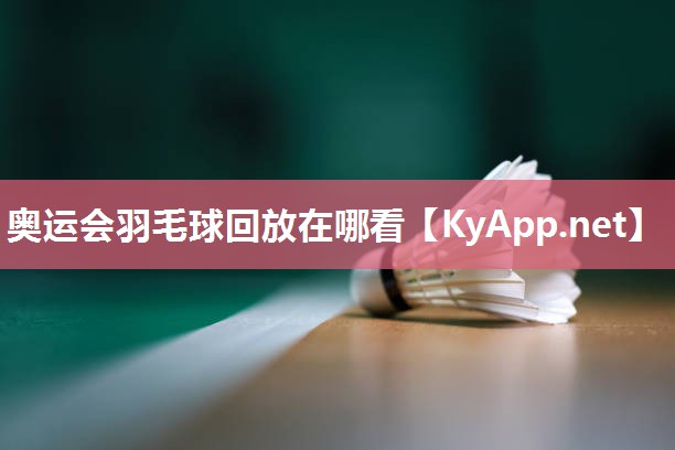 奥运会羽毛球回放在哪看