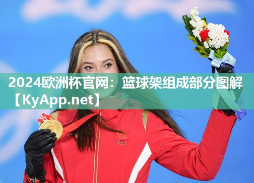 篮球架组成部分图解