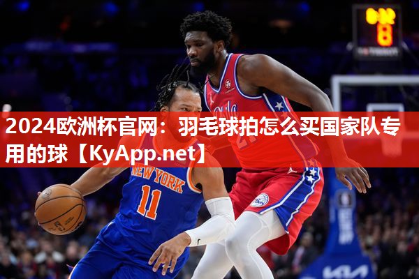 羽毛球拍怎么买国家队专用的球