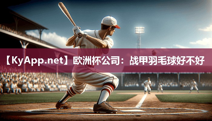 战甲羽毛球好不好