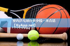 室内乒乓球台多少钱一米合适