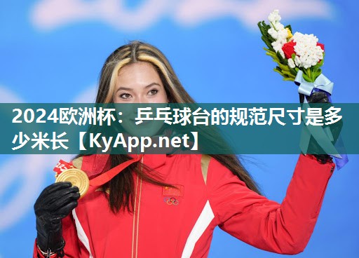 乒乓球台的规范尺寸是多少米长