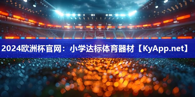 小学达标体育器材