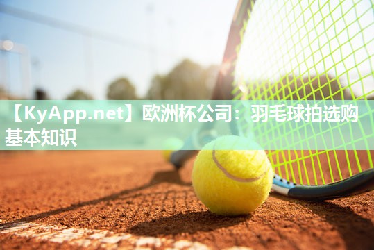 羽毛球拍选购基本知识