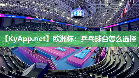 乒乓球台怎么选择