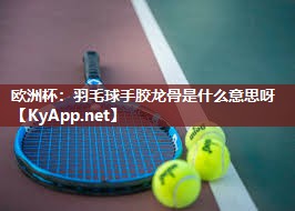 羽毛球手胶龙骨是什么意思呀