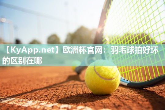 羽毛球拍好坏的区别在哪