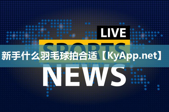 新手什么羽毛球拍合适