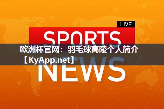 羽毛球高陵个人简介