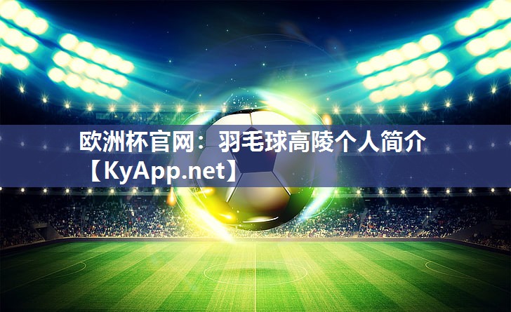 羽毛球高陵个人简介