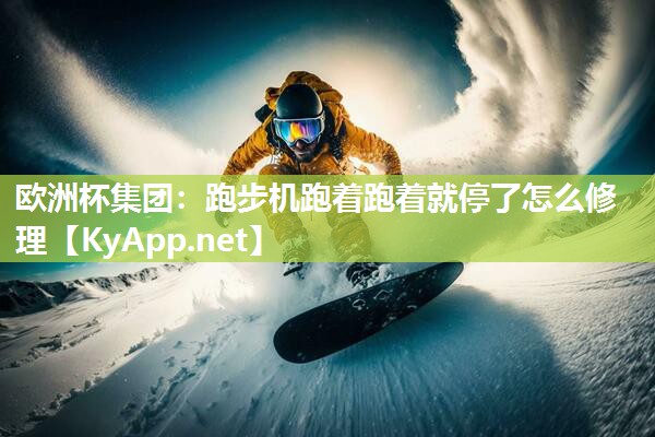 跑步机跑着跑着就停了怎么修理
