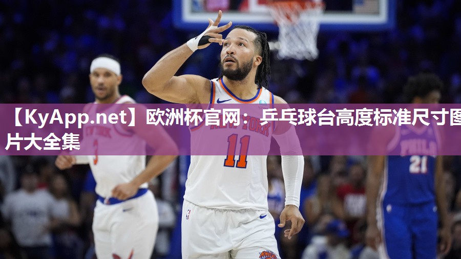 乒乓球台高度标准尺寸图片大全集